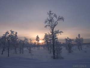 Winterlandschaft